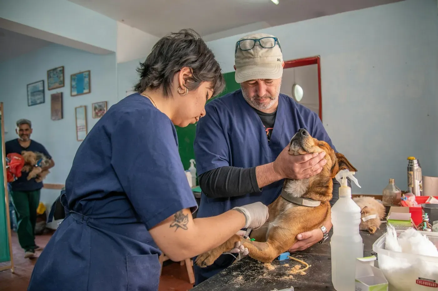 Equipo veterinario atendiendo a un perro en la clínica