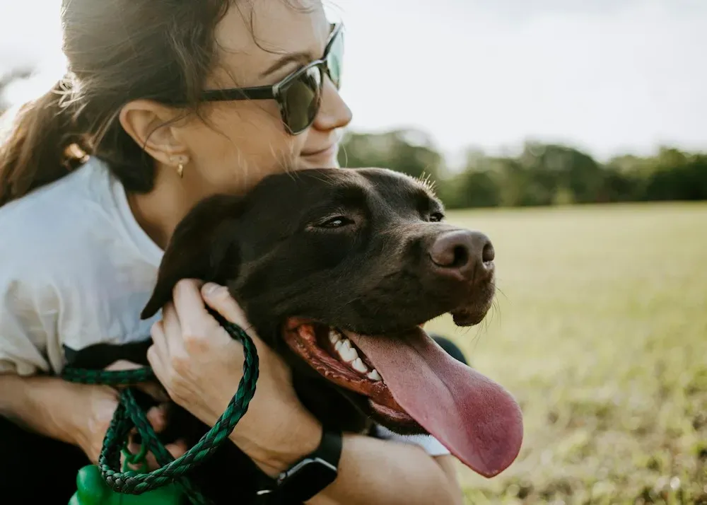 Perro negro feliz abrazado por su dueña